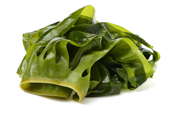 istock soaked wakame seaweed 584883532