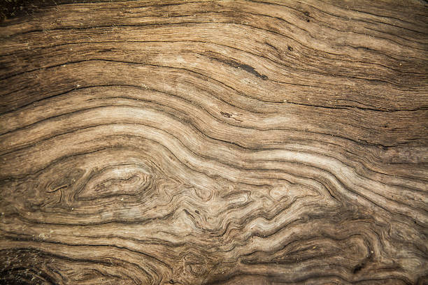 istock close up of old wood texture background 584885080
