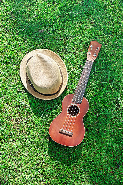 acoustic ukulele with hat on green grass - ballad imagens e fotografias de stock