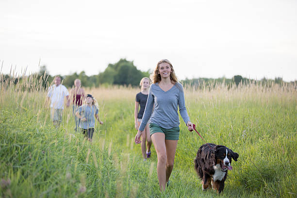 istock Family Walking Their Pet 584887478
