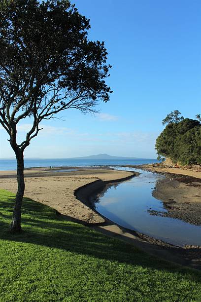 Browns Bay and Rangitoto Winters day at the beach in New Zealand.  Shadow from the Pohutukawa tree at the forefront of the image, Browns Bay beach and Rangitoto in the background rangitoto island stock pictures, royalty-free photos & images
