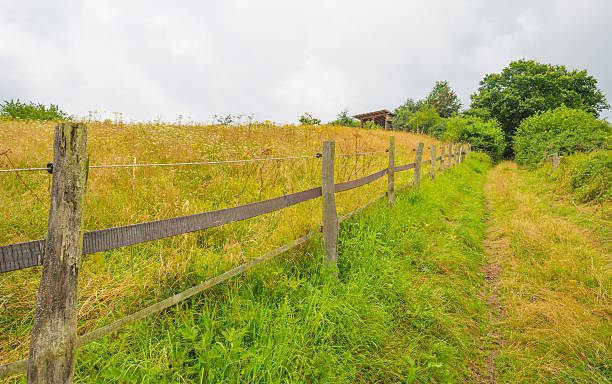 istock Hills of the Eifel National Park in summer 584888514