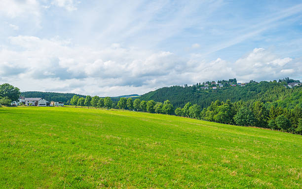 istock Hills of the Eifel National Park in summer 584888894