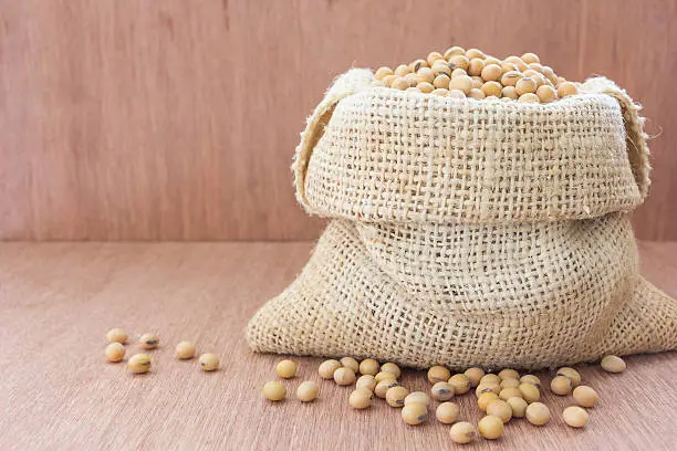 Soybeans, small round beans, one of the most popular and healthy legumes.