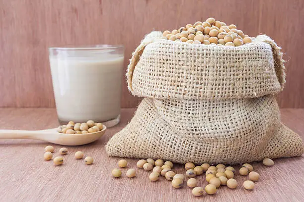 Soybeans, small round beans, one of the most popular and healthy legumes.