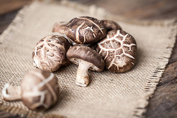 seta shiitake  - shiitake mushroom mushroom dried food dried plant fotografías e imágenes de stock