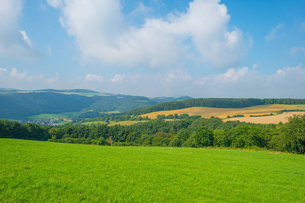 istock Hills of the Eifel National Park in summer 584892158