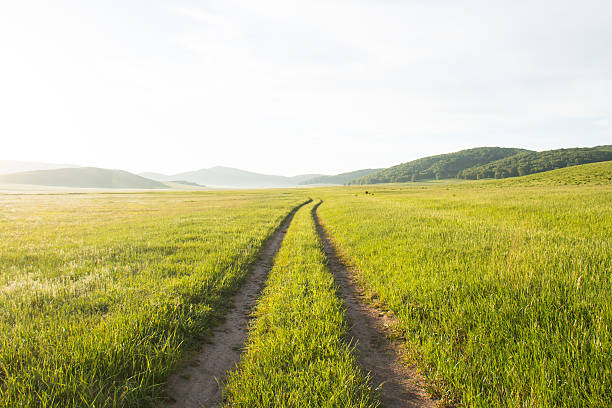istock Road on the prairie 585047674