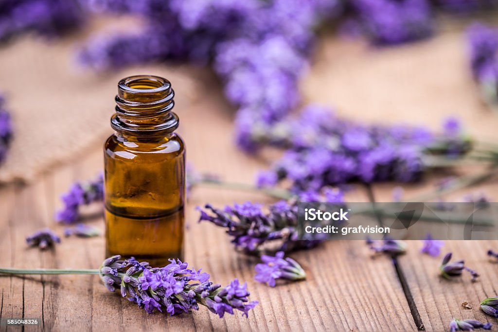 Herbal oil and lavender flowers Herbal oil and lavender flowers on wooden background Essential Oil Stock Photo