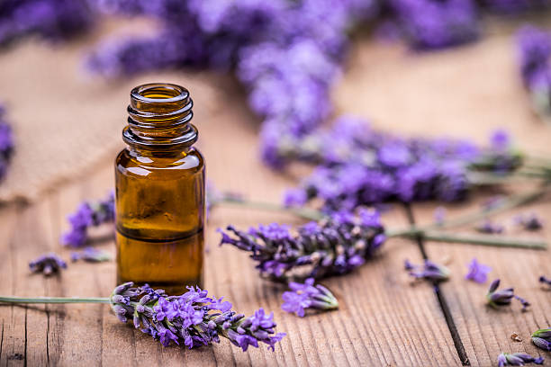 Herbal oil and lavender flowers stock photo