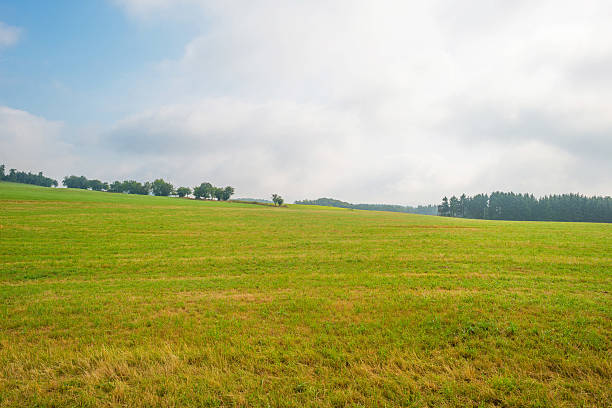 istock Hills of the Eifel National Park in summer 585048652
