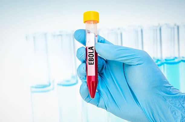 istock Test-tube with blood sample for EBOLA test 585052708