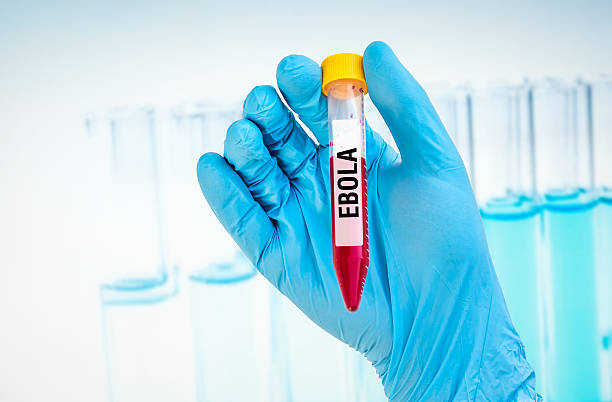 istock Test-tube with blood sample for EBOLA test 585052722