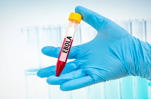 istock Test-tube with blood sample for EBOLA test 585052736