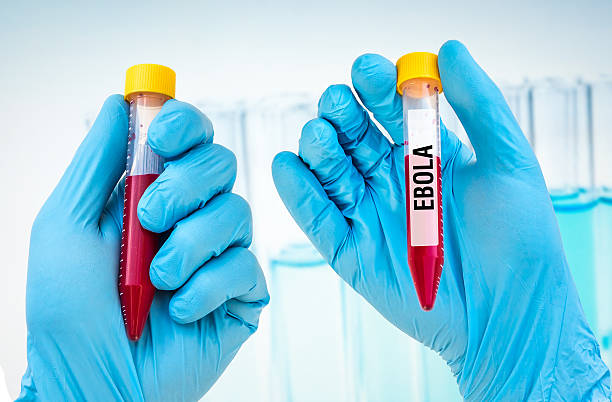 istock Test-tube with blood sample for EBOLA test 585052756