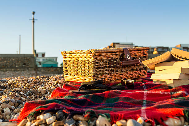 istock Sunset picnic on the pebble beach 585058524