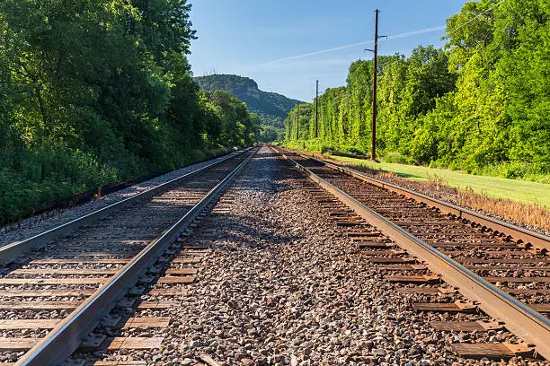 A double railroad track mainline on a summer's day.