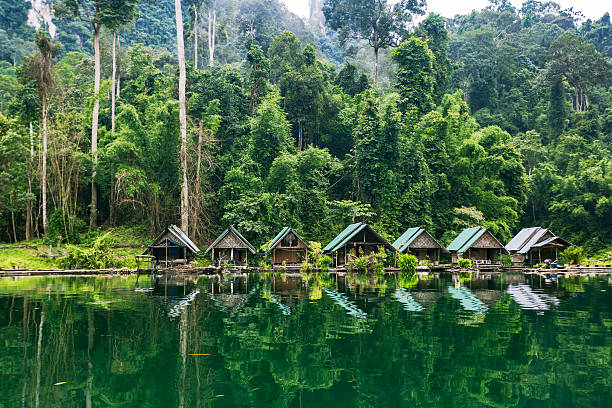 lago kao sok national park e capannoni abitanti del villaggio. - thailandia foto e immagini stock