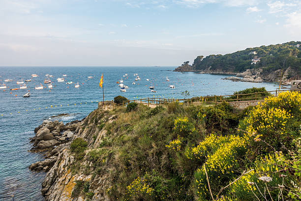 Boats in calella de Palafurgell in Costa Brava, Spain