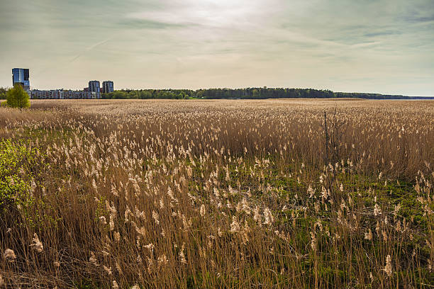 istock Baltic sea coast at Tallinn 585065262