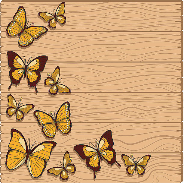 Pinned Insect Vector 120+ Pinned Insects Stock Illustrations, Royalty-Free Vector Graphics ...
