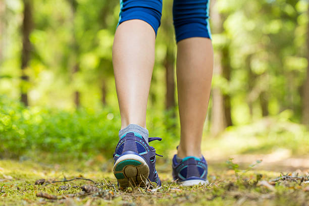 istock Walking or running legs in forest, exercising in summer nature. 585069060