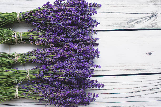istock Lavender on wood background. With copy-space 585069508