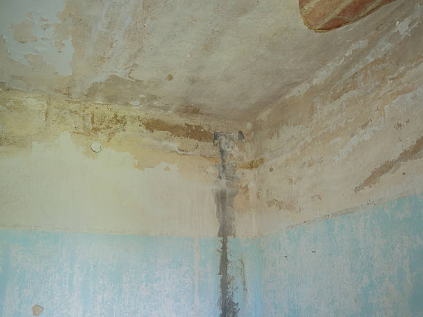 istock Blue wall of a dilapidated room 585070944