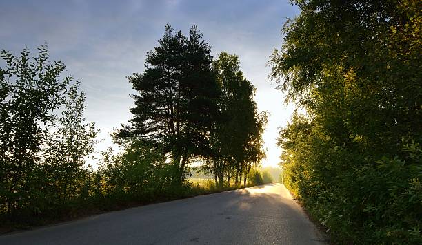 istock Asphalt road through green field and clouds on blue sky 585071384