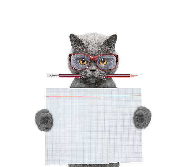 Cat studend at school holding piece of paper