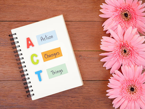istock Action, Changes, Things and sweet pink Gerbera flower 1 585072210