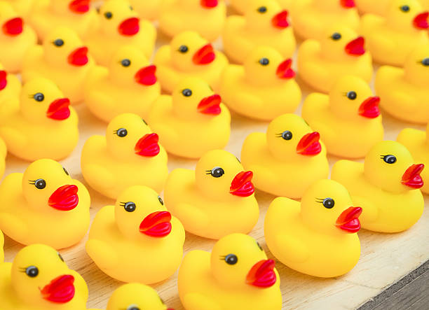 istock Group of rubber yellow duck toy 585072620