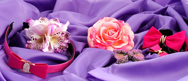 istock Hair acsessories advertisement 585077678