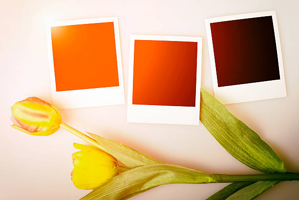 istock Photo frames on paper background with sun flare and tulips. 585077758