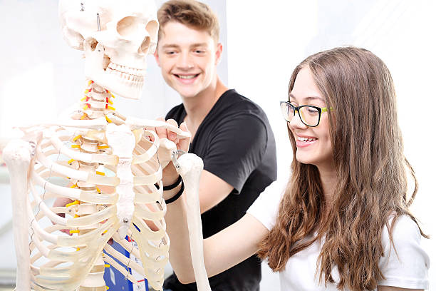 istock Schoolgirl watching model of a human skeleton. 585084536