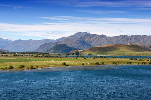 istock New Zealand 585085116
