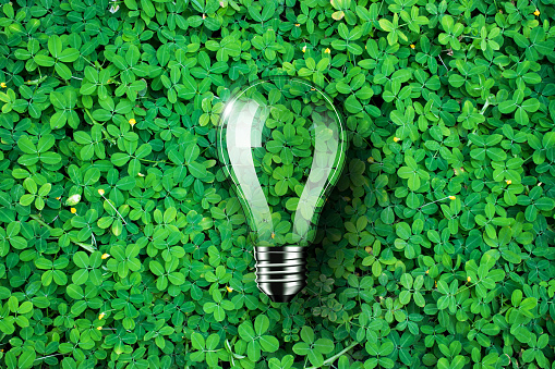 Light bulb is on green grass background, concept idea