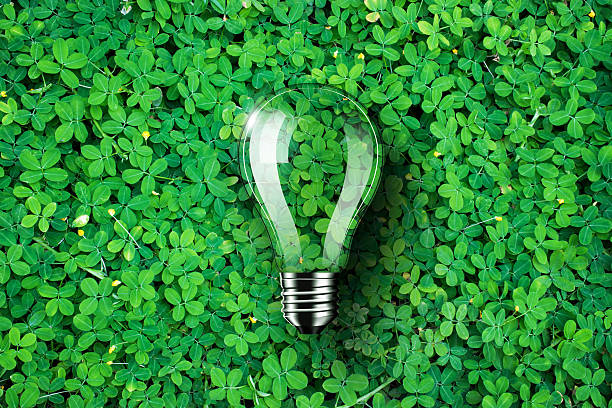 light bulb on green grass background, concept idea - thinking green imagens e fotografias de stock