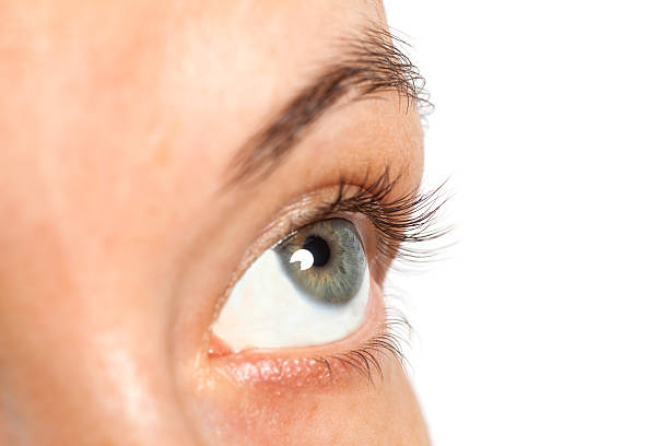 istock woman eye isolated on a white background 585085630
