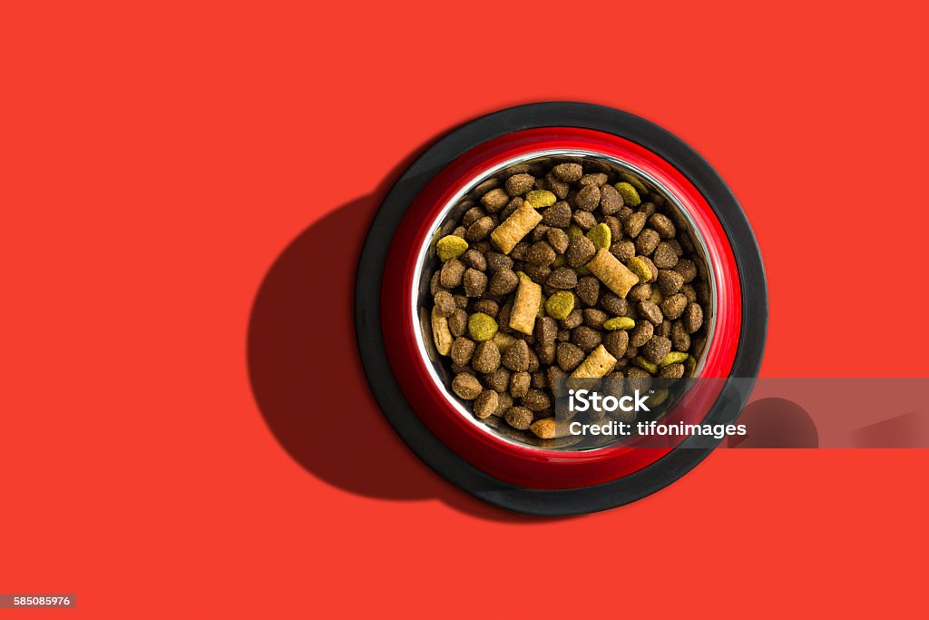 Pet food Pet food over a red background Dog Bowl Stock Photo