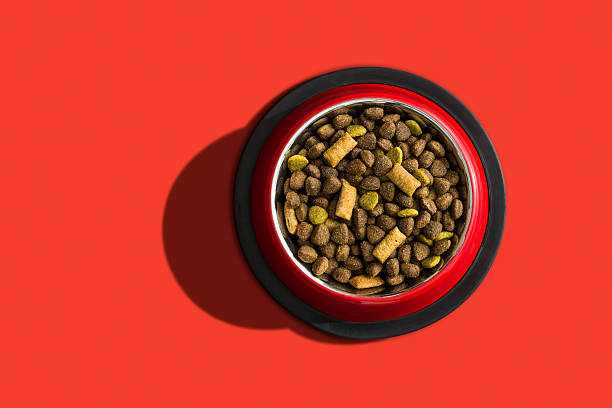Pet food Pet food over a red background dog bowl photos stock pictures, royalty-free photos & images
