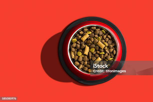 Pet Food Stock Photo - Download Image Now - Dog Bowl, High Angle View, Dog Food