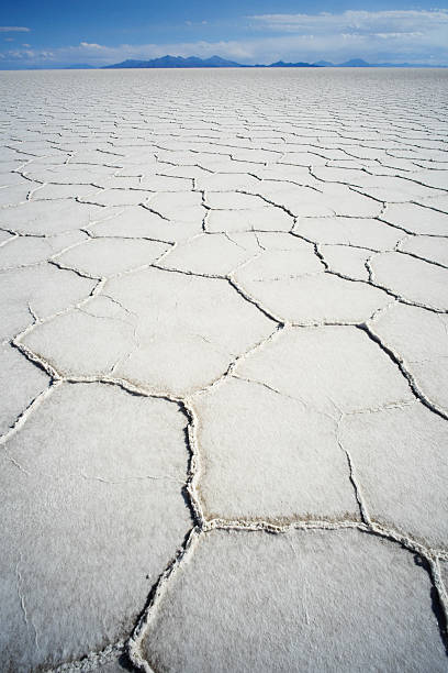 istock Salar de Uyuni in Bolivia 585086446
