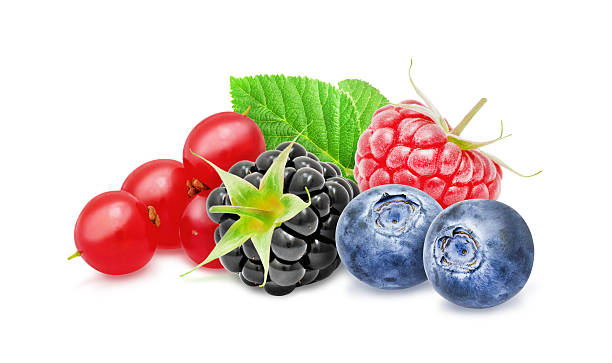 relálado fresco, amora, framboesa, frutas de mirtilo. - blackberry fruit mulberry isolated - fotografias e filmes do acervo