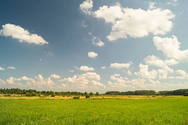 istock Year landscape on background blue sky 585086938