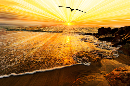 Bird silhouette sunset is a single bird flying over the ocean water as sun rays burst forth from the sun in a vivid surreal colorful scenic seascape.