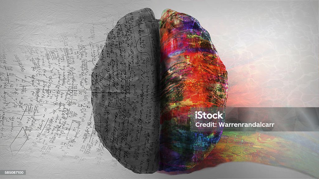 Right Side - Left Side Hemisphere of Brain Top down view of human brain depicting left side right side differences. The right side shows creative, music and art while the left side shows calculation, numbers and mathematics. Contemplation Stock Photo