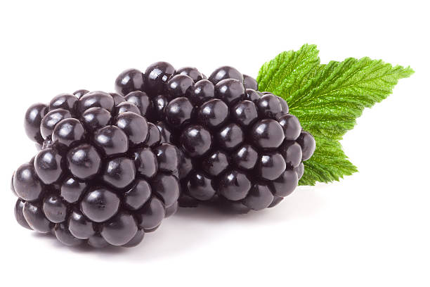 istock blackberry with leaf isolated on a white background closeup 585087250