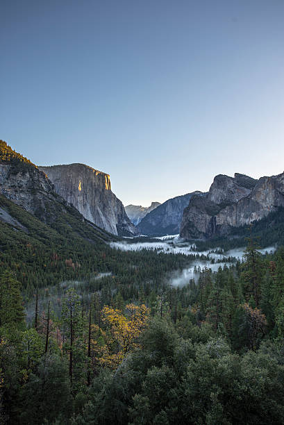 parque nacional de yosemite - fog yosemite national park national park nature imagens e fotografias de stock