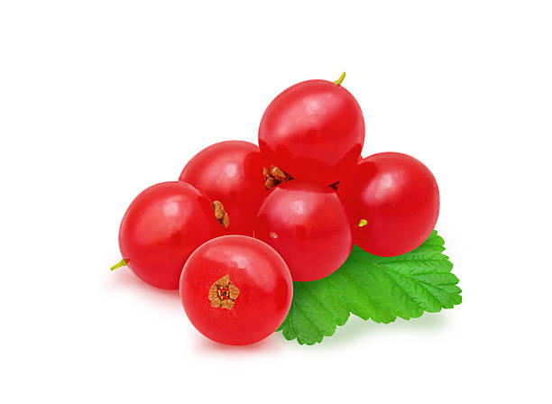 istock Heap of red currant. 585088810